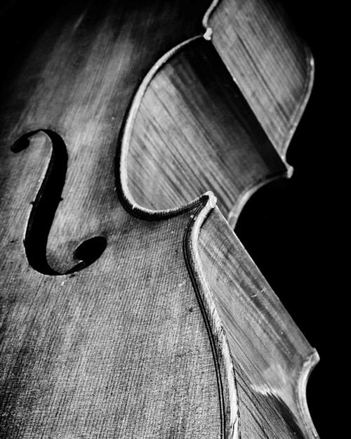 FMS Orchestra 