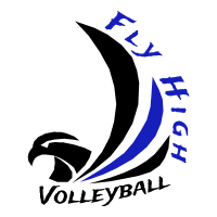 fly