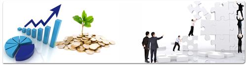 Income 